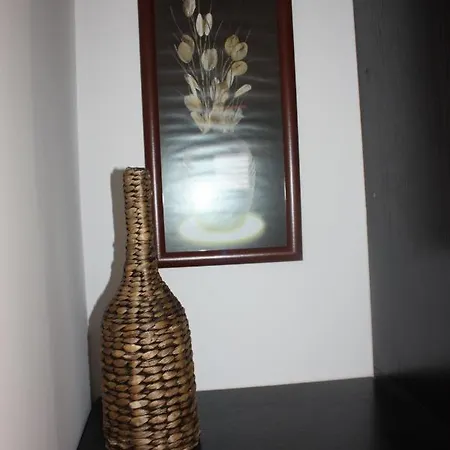 Apartment Hajdi *