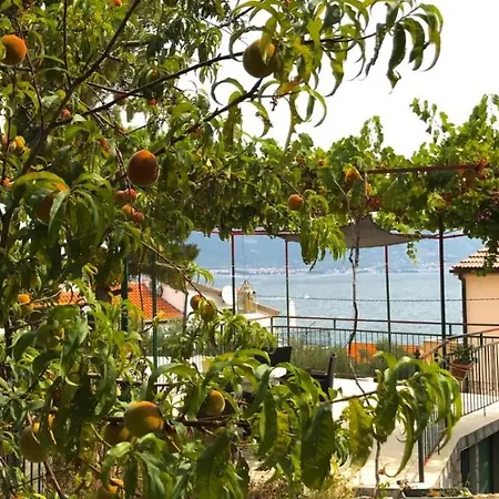 Apartment Hajdi