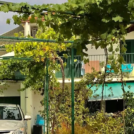 Hajdi Apartment