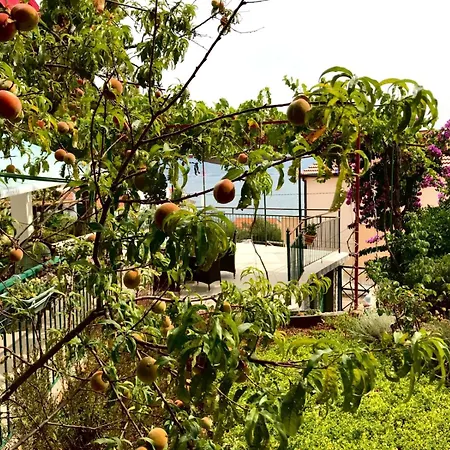 Hajdi Apartment